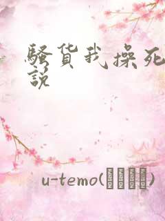 骚货我操死你小说