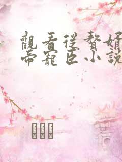 观看从赘婿到女帝宠臣小说