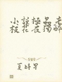 小说极品老师俏校花夜独醉