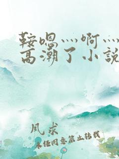 鞍嗯灬啊灬快灬高潮了小说