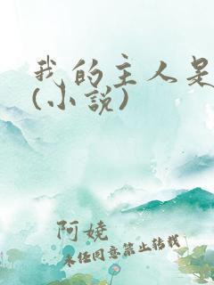 我的主人是妹妹(小说)