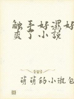 触手好湿好紧太爽了小说