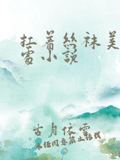 扛着丝袜美腿破处小说