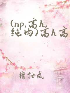 (np,高h,纯肉)高h高辣小说