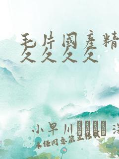 毛片国产精品久久久久久