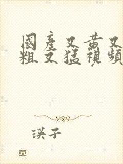 国产又黄又爽又粗又猛视频