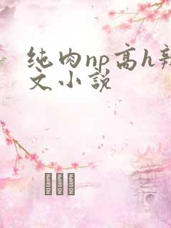 纯肉np高h辣文小说
