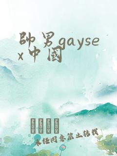 帅男gaysex中国
