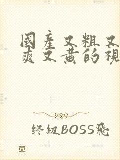 国产又粗又猛又爽又黄的视频,久久精品视频