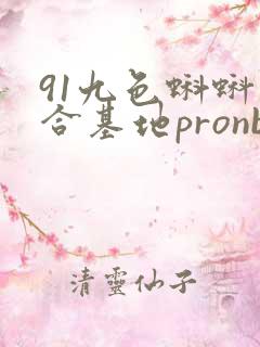 91九色蝌蚪综合基地pronb