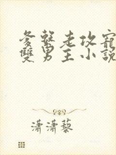 爹系老攻宠溺的双男主小说