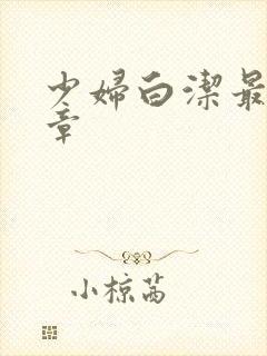 少妇白洁最新篇章