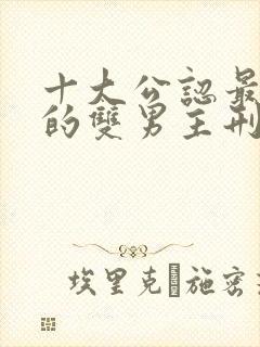 十大公认最好看的双男主刑侦小说