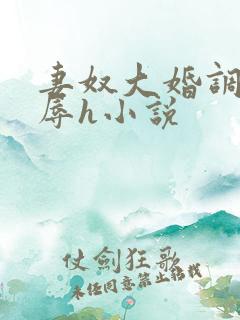 妻奴大婚调教屈辱h小说