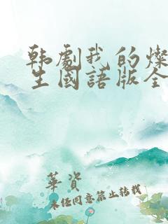 韩剧我的灿烂人生国语版全集