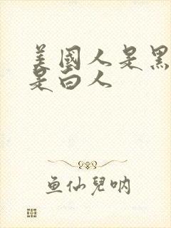 美国人是黑人还是白人