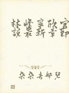 林峰宁欣官场小说最新章节更