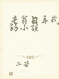 老翁日弄我吸奶的小说