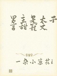 男主是太子的古言甜宠文