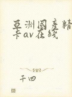 亚洲国产精品不卡av在线