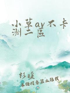 小草av不卡亚洲二区