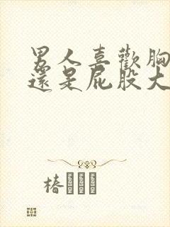 男人喜欢胸大的还是屁股大的