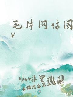 毛片网站国产av