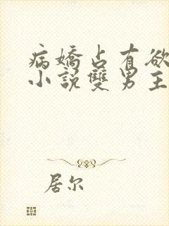 病娇占有欲强的小说双男主