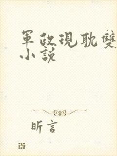 军政现耽双男主小说