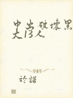 中出破坏黑人巨大13人