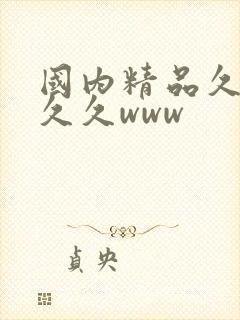 国内精品久久久久久www