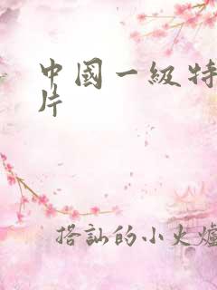 中国一级特黄大片