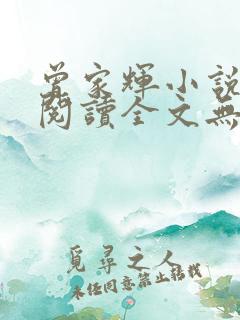 曾家辉小说免费阅读全文无弹窗