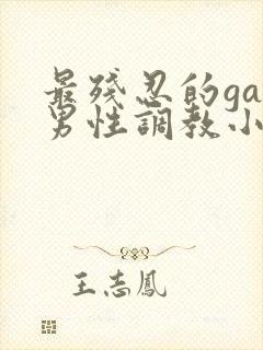 最残忍的gay男性调教小说