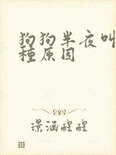 狗狗半夜叫的七种原因