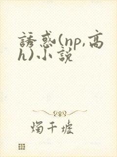 诱惑(np,高h)小说