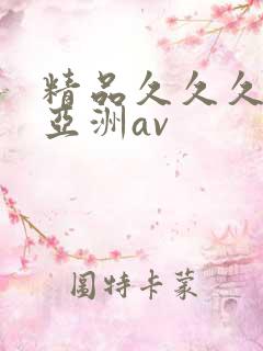 精品久久久久久亚洲av