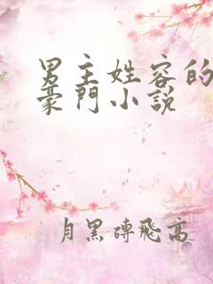 男主姓容的现代豪门小说