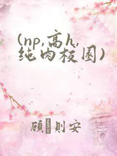 (np,高h,纯肉校园)