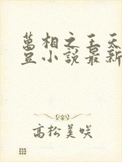 万相之王天蚕土豆小说最新章节