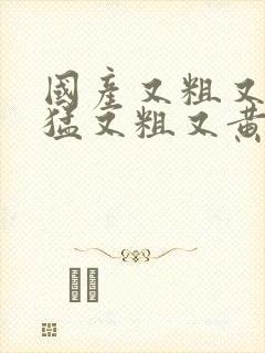 国产又粗又爽又猛又粗又黄的视频