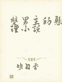 双男主的悬疑推理小说