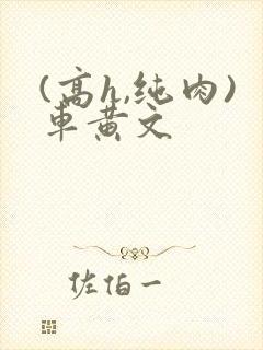 (高h,纯肉)车黄文
