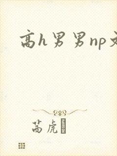 高h男男np文