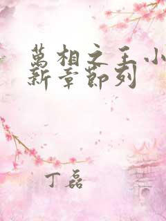 万相之王小说最新章节列