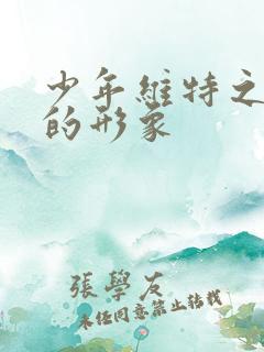 少年维特之烦恼的形象