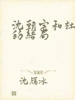 沈朝宗和杜兰嫣的结局