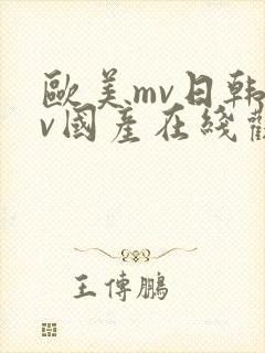 欧美mv日韩mv国产在线观看