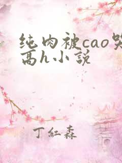 纯肉被cao哭高h小说