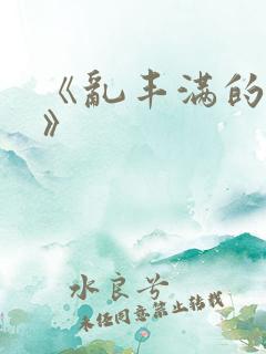 《乱丰满的岳伦》